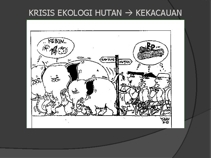 KRISIS EKOLOGI HUTAN KEKACAUAN HABITAT SATWA 