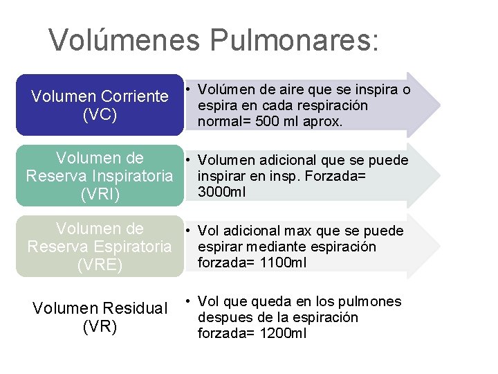 Volúmenes Pulmonares: Volumen Corriente • Volúmen de aire que se inspira o espira en