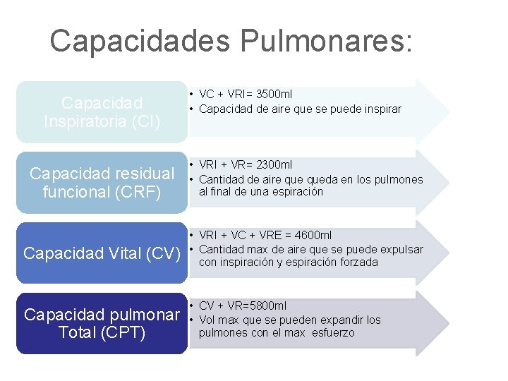 Capacidades Pulmonares: Capacidad Inspiratoria (CI) • VC + VRI= 3500 ml • Capacidad de