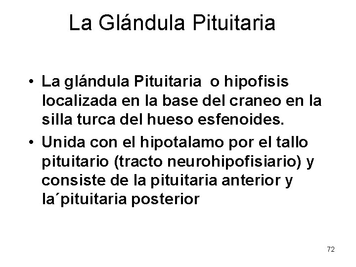 La Glándula Pituitaria • La glándula Pituitaria o hipofisis localizada en la base del