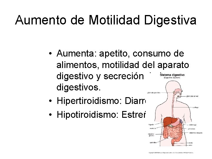 Aumento de Motilidad Digestiva • Aumenta: apetito, consumo de alimentos, motilidad del aparato digestivo