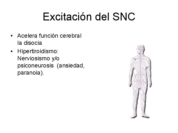 Excitación del SNC • Acelera función cerebral la disocia • Hipertiroidismo: Nerviosismo y/o psiconeurosis