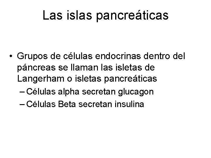 Las islas pancreáticas • Grupos de células endocrinas dentro del páncreas se llaman las