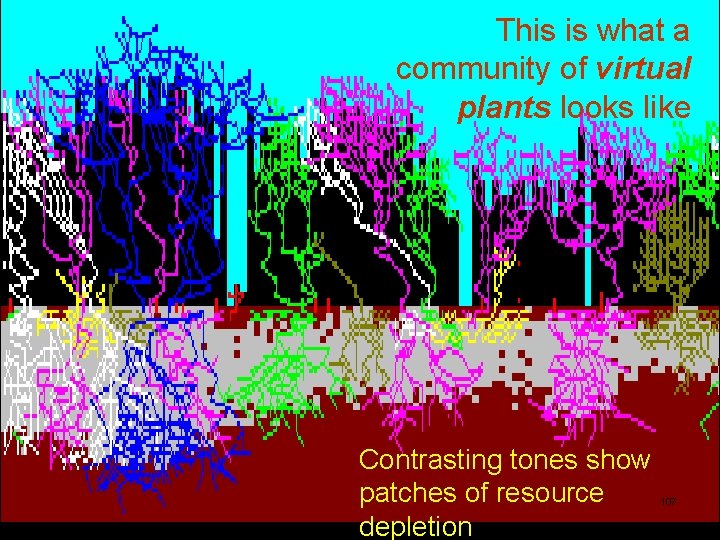 This is what a community of virtual plants looks like Community image Contrasting tones