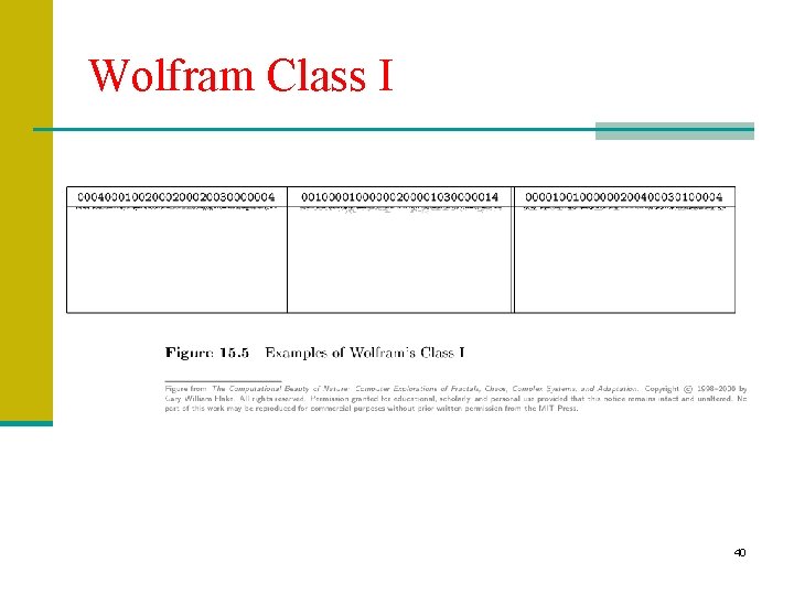 Wolfram Class I 40 