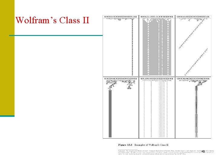 Wolfram’s Class II 43 