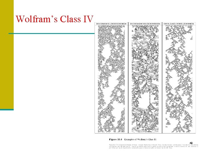 Wolfram’s Class IV 49 
