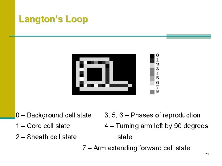 Langton’s Loop 0 – Background cell state 3, 5, 6 – Phases of reproduction