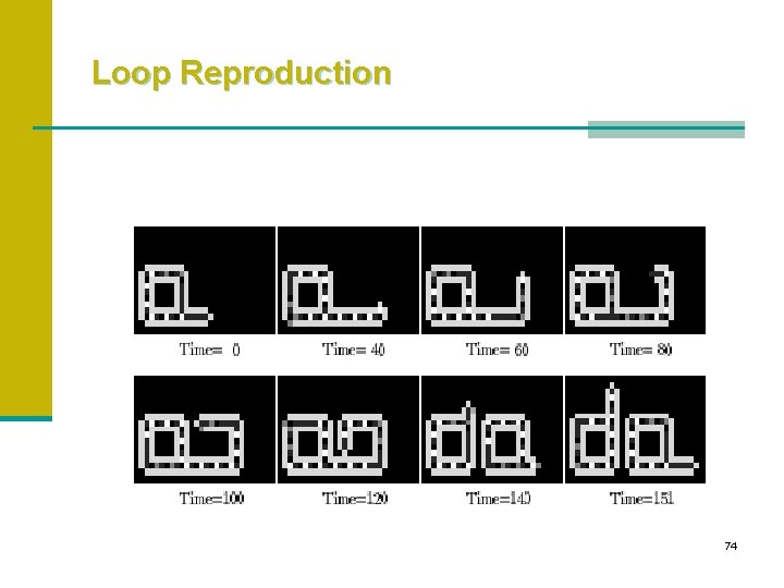 Loop Reproduction 74 