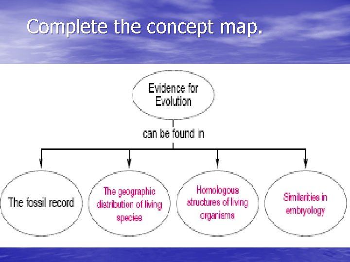 Complete the concept map. 