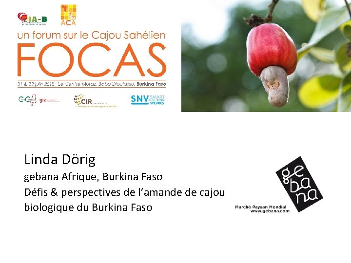 Linda Dörig gebana Afrique, Burkina Faso Défis & perspectives de l’amande de cajou biologique