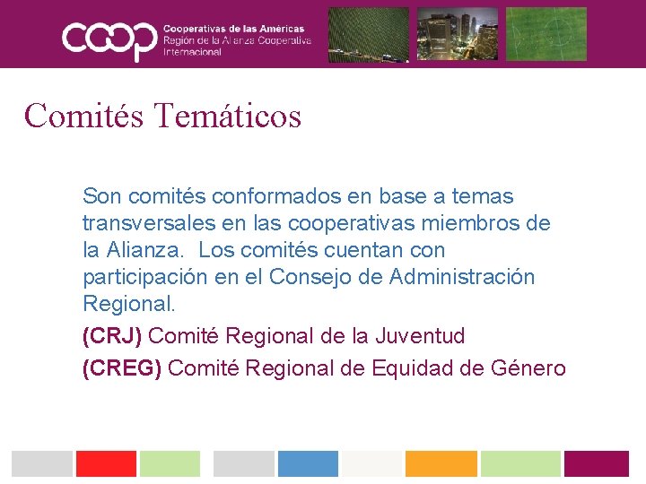 Comités Temáticos Son comités conformados en base a temas transversales en las cooperativas miembros