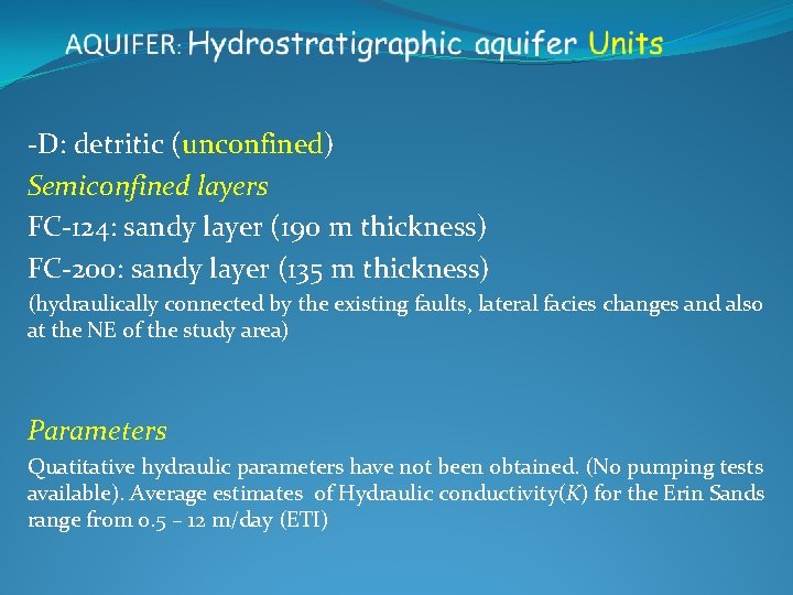 -D: detritic (unconfined) Semiconfined layers FC-124: sandy layer (190 m thickness) FC-200: sandy layer