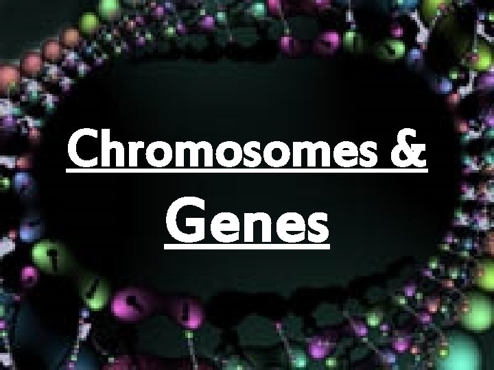 Chromosomes & Genes 