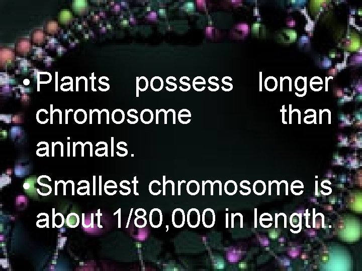  • Plants possess longer chromosome than animals. • Smallest chromosome is about 1/80,