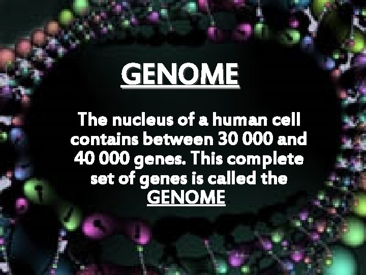 GENOME The nucleus of a human cell contains between 30 000 and 40 000