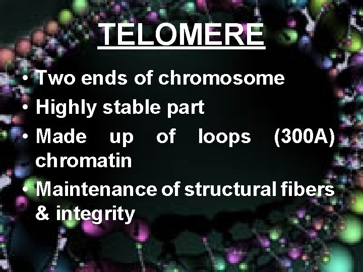 TELOMERE • Two ends of chromosome • Highly stable part • Made up of