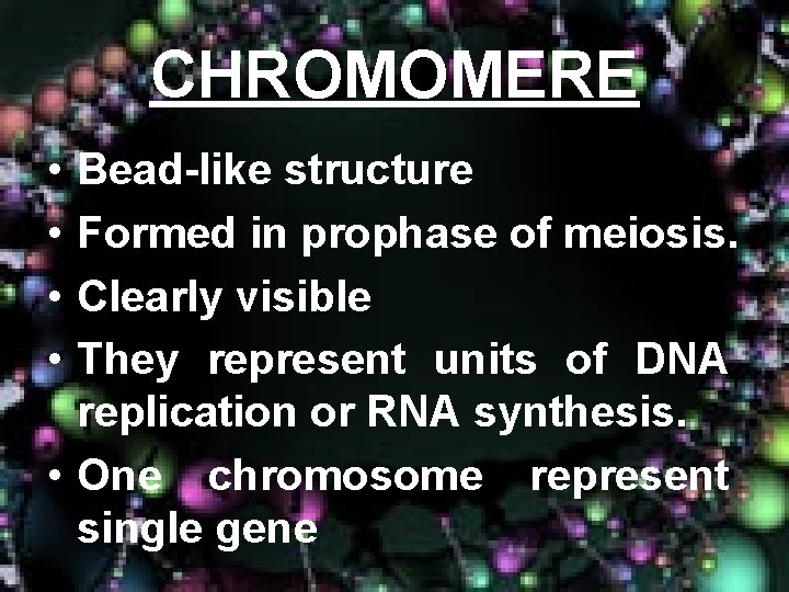 CHROMOMERE • • Bead-like structure Formed in prophase of meiosis. Clearly visible They represent