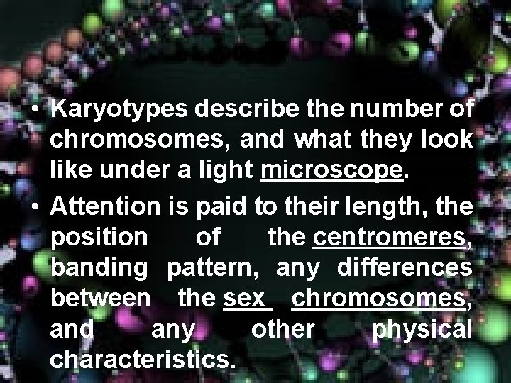  • Karyotypes describe the number of chromosomes, and what they look like under