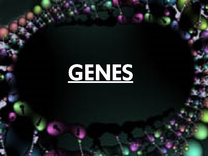 GENES 