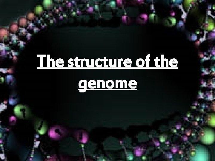 The structure of the genome 