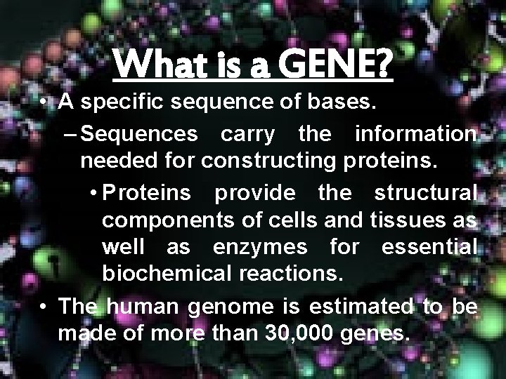 What is a GENE? • A specific sequence of bases. – Sequences carry the