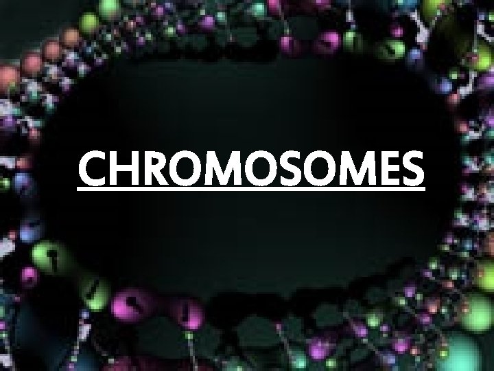 CHROMOSOMES 