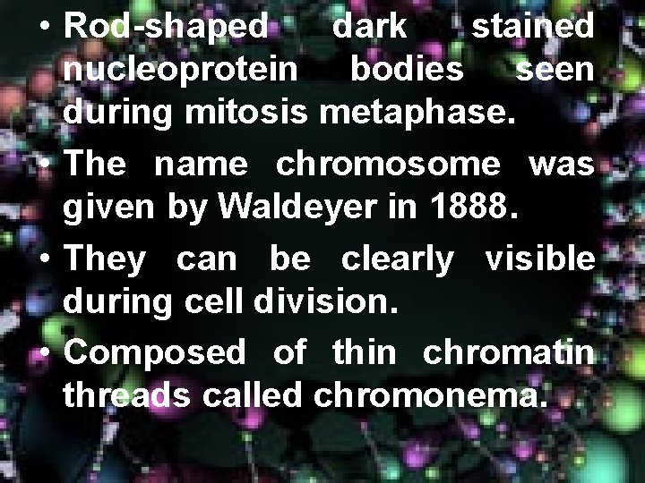  • Rod-shaped dark stained nucleoprotein bodies seen during mitosis metaphase. • The name