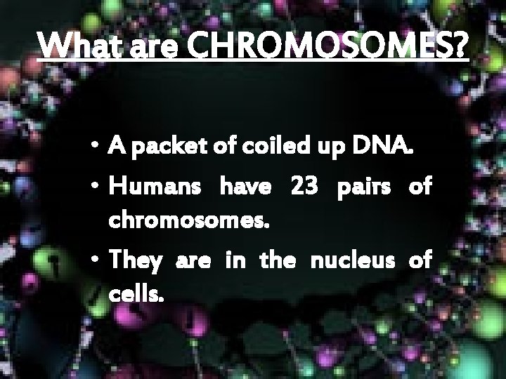 What are CHROMOSOMES? • A packet of coiled up DNA. • Humans have 23