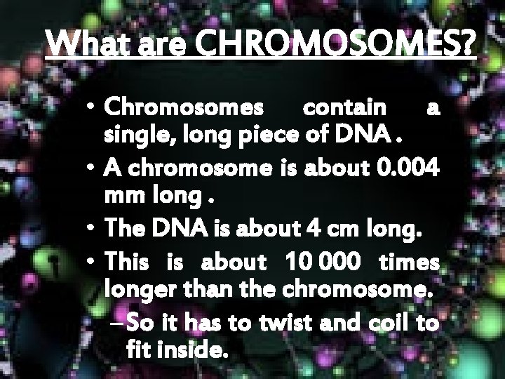 What are CHROMOSOMES? • Chromosomes contain a single, long piece of DNA. • A