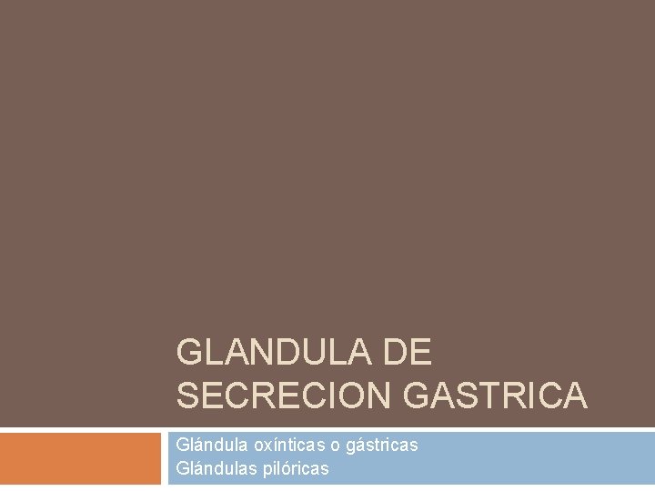 GLANDULA DE SECRECION GASTRICA Glándula oxínticas o gástricas Glándulas pilóricas 