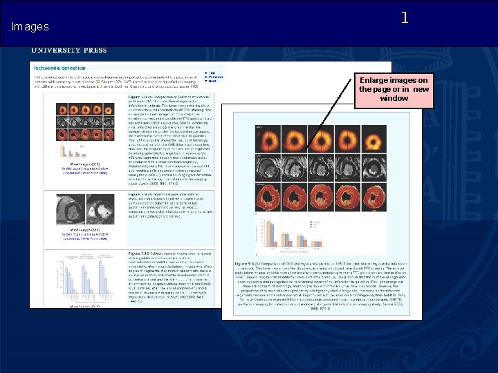Images 1 Enlarge images on the page or in new window 