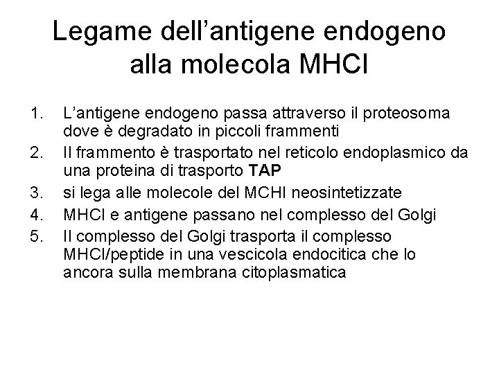Legame dell’antigene endogeno alla molecola MHCI 1. 2. 3. 4. 5. L’antigene endogeno passa Legame dell’antigene endogeno alla molecola MHCI 1. 2. 3. 4. 5. L’antigene endogeno passa