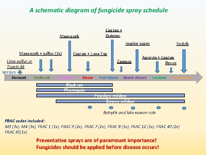 A schematic diagram of fungicide spray schedule Mancozeb Captan + Quintec Inspire super Mancozeb