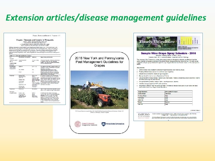 Extension articles/disease management guidelines 