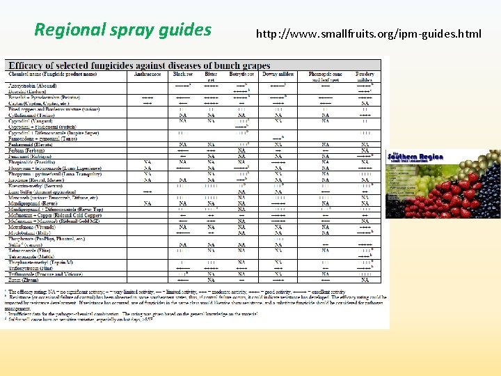 Regional spray guides http: //www. smallfruits. org/ipm-guides. html 