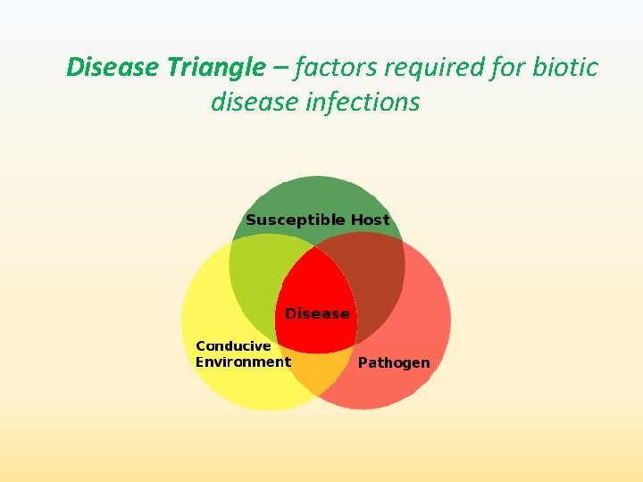 Disease Triangle – factors required for biotic disease infections 