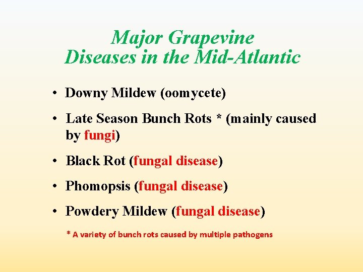 Major Grapevine Diseases in the Mid-Atlantic • Downy Mildew (oomycete) • Late Season Bunch