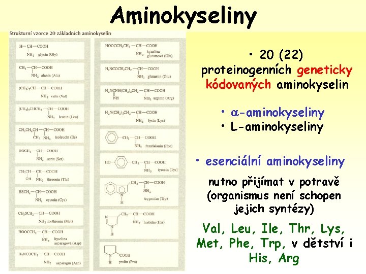 Aminokyseliny • 20 (22) proteinogenních geneticky kódovaných aminokyselin • -aminokyseliny • L-aminokyseliny • esenciální