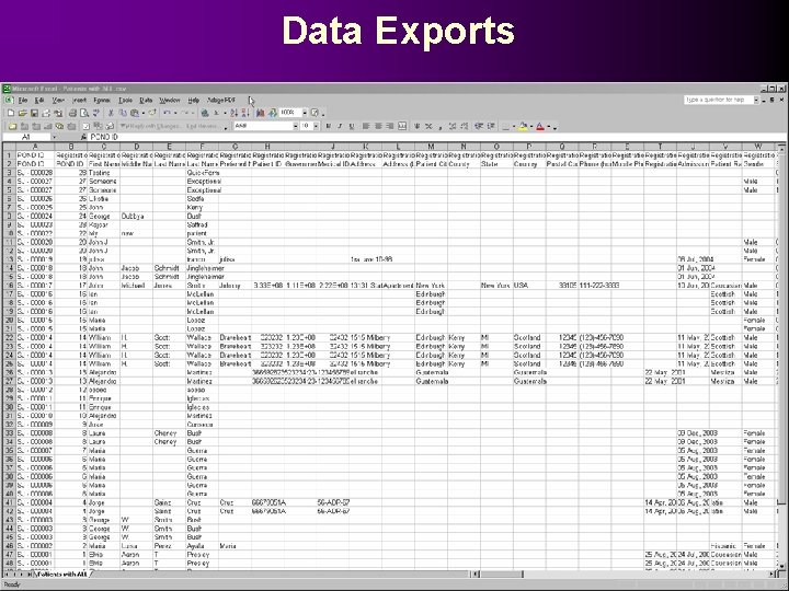 Data Exports Excel Exports 
