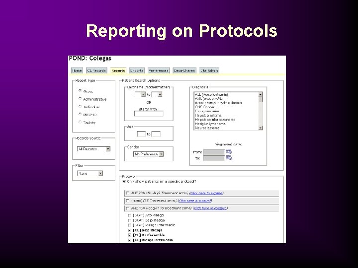 Reporting on Protocols 