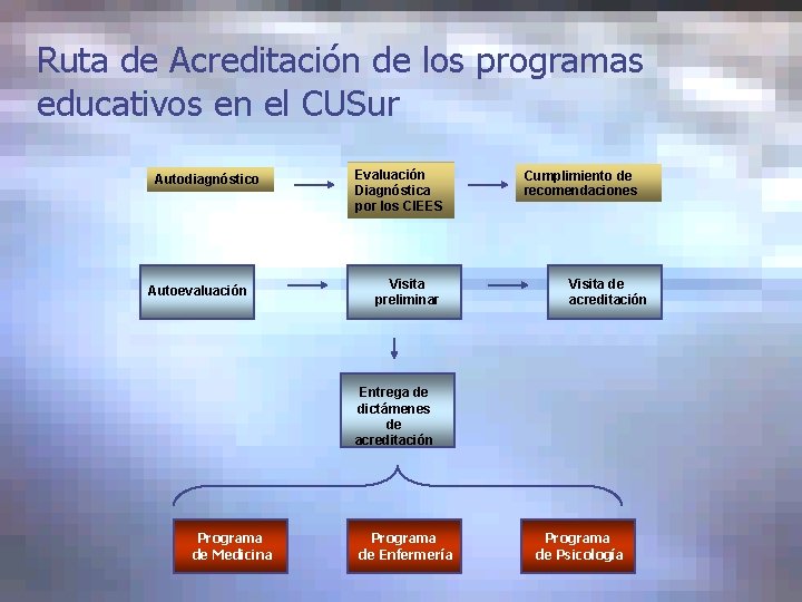 Ruta de Acreditación de los programas educativos en el CUSur Autodiagnóstico Autoevaluación Evaluación Diagnóstica