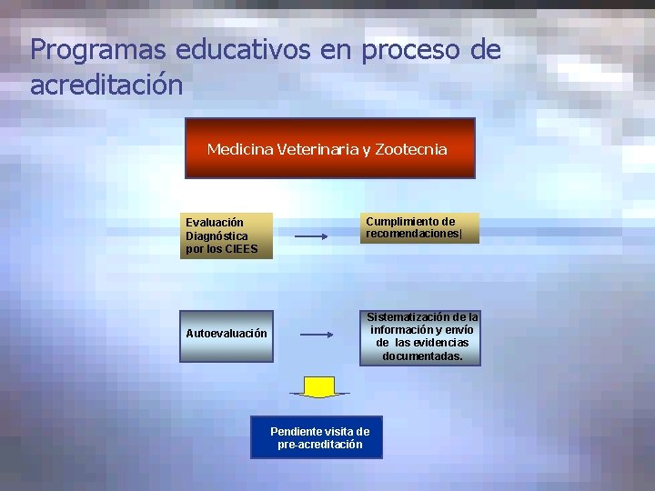 Programas educativos en proceso de acreditación Medicina Veterinaria y Zootecnia Evaluación Diagnóstica por los