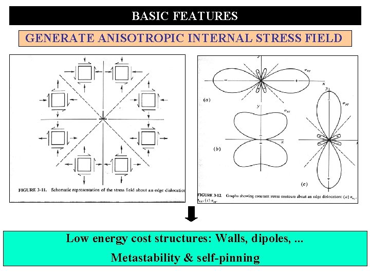 BASIC FEATURES GENERATE ANISOTROPIC INTERNAL STRESS FIELD Low energy cost structures: Walls, dipoles, .