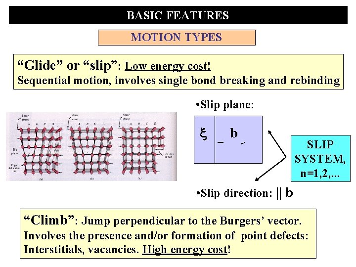 BASIC FEATURES MOTION TYPES “Glide” or “slip”: Low energy cost! Sequential motion, involves single