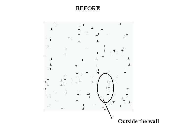 BEFORE Outside the wall 