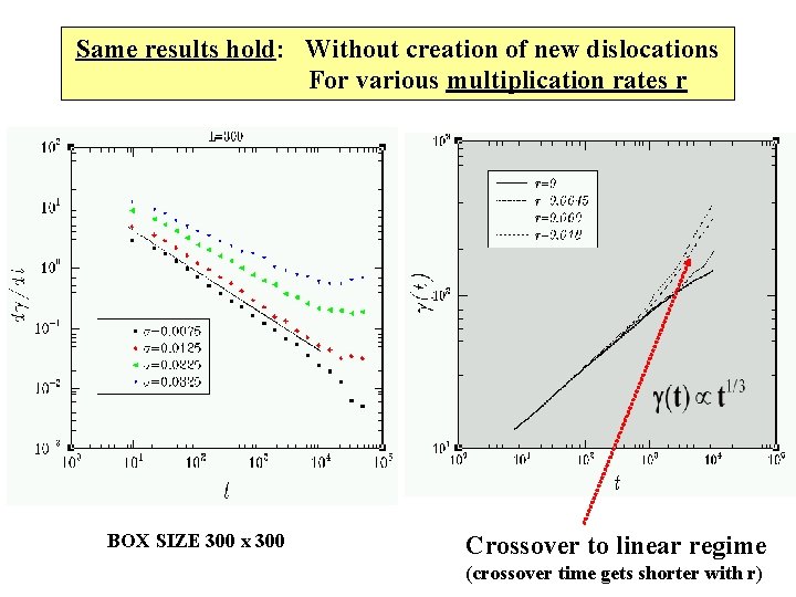 Same results hold: Without creation of new dislocations For various multiplication rates r BOX