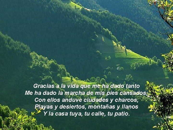 Gracias a la vida que me ha dado tanto Me ha dado la marcha Gracias a la vida que me ha dado tanto Me ha dado la marcha