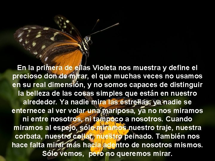 En la primera de ellas Violeta nos muestra y define el precioso don de En la primera de ellas Violeta nos muestra y define el precioso don de