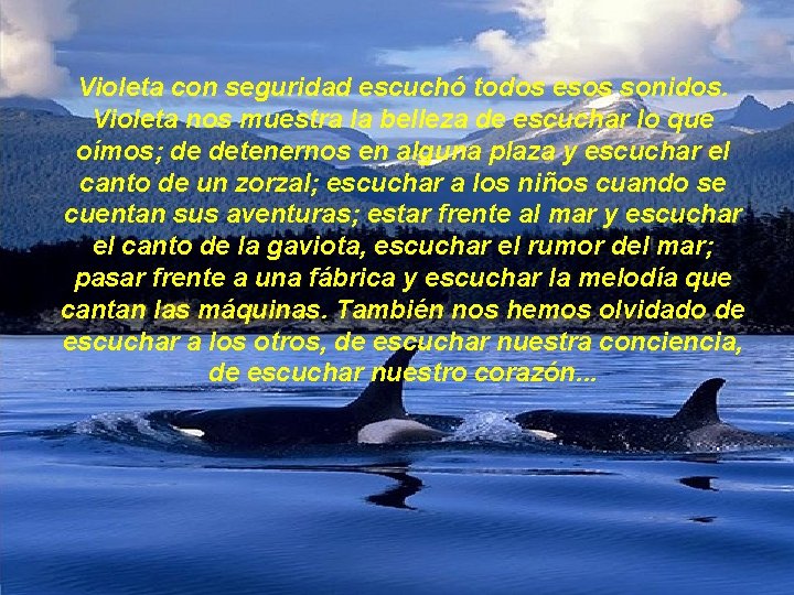 Violeta con seguridad escuchó todos esos sonidos. Violeta nos muestra la belleza de escuchar Violeta con seguridad escuchó todos esos sonidos. Violeta nos muestra la belleza de escuchar